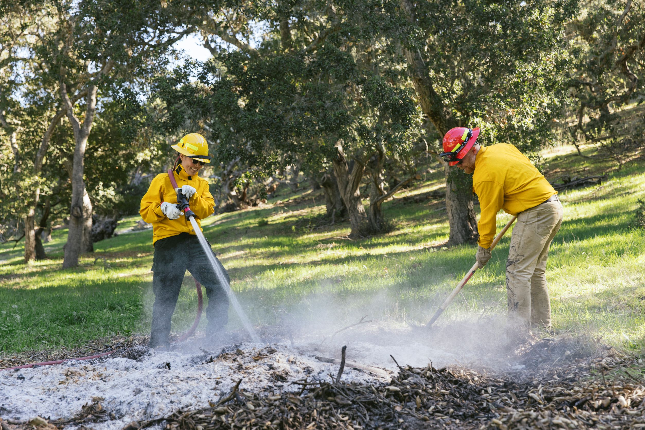 Workers tending to a pile burn in a green, grassy field framed by trees.